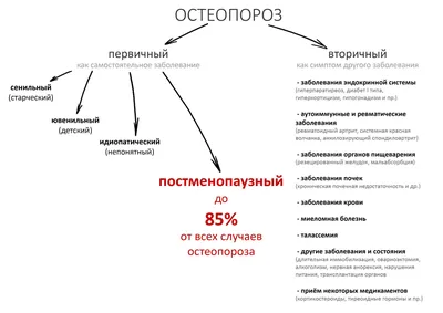 О проведении с 16 октября по 22 октября 2023 года Недели профилактики  остеопороза