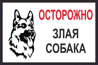 Табличка Осторожно злая собака - купить в Москве, цены на Мегамаркет