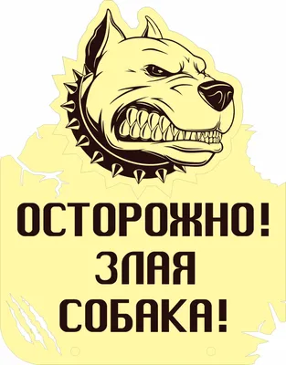 Табличка Осторожно! Злая Собака, А Кот Вообще Дебил! — Декор — Рок-магазин  атрибутики Castle Rock