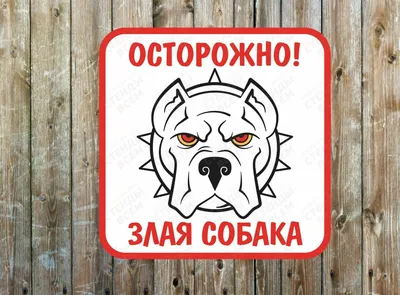 Табличка «Осторожно! Злая собака» по цене 158 ₽/шт. купить в Калуге в  интернет-магазине Леруа Мерлен