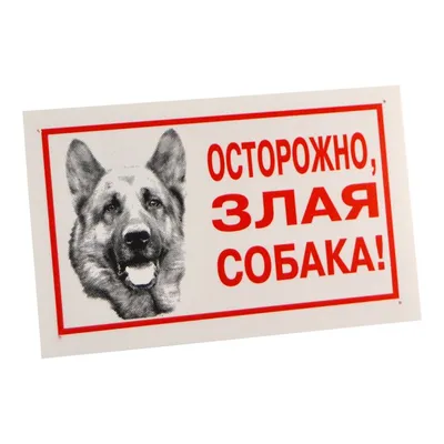 Наклейка «Осторожно злая собака» 100х100 мм полиэстер по цене 50 ₽/шт.  купить в Тольятти в интернет-магазине Леруа Мерлен