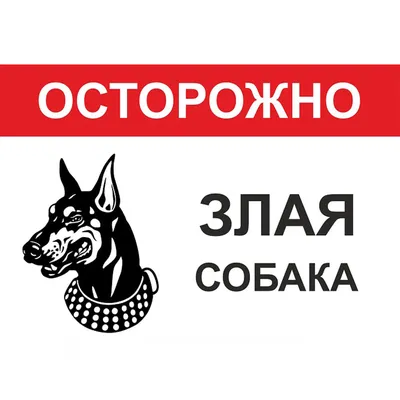 Табличка \"Осторожно злая собака\" ( 24*16 см): продажа, цена в Слониме.  Готовые информационные таблички и вывески от \"Рекламное агентство \"Корекс\"\"  - 114946176