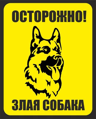 Табличка Осторожно! Злая Собака по цене 193 ₽, купить в зоомагазине  АстВетМаркет