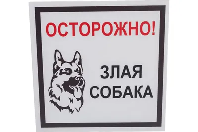 Купить табличка Дарэлл \"Осторожно! Злая собака\", формат А4, 30,3 х 21,6 см,  цены на Мегамаркет | Артикул: 100023032639