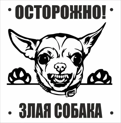 Купить Табличка Осторожно злая собака 300*200 мм 📄 с доставкой по Беларуси  | интернет-магазин Stendy.by