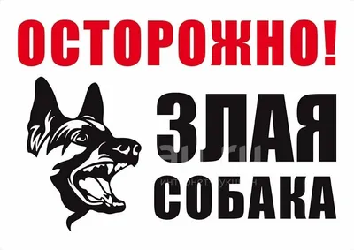 Купить Дарэлл Табличка Осторожно, злая собака 24*17 см (ПВХ) (арт. 0012) на  🐕 Shop-Pet.By ⏩️ в Минске【с доставкой】по Беларуси ✓ АКЦИИ и СКИДКИ✓