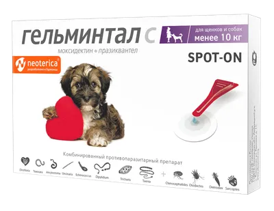 Капли на холку Гельминтал Spot-on для щенков и собак до 10 кг, 2 пипетки –  купить в Томске и Северске за 568 рублей