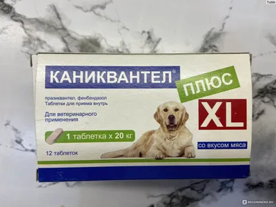 Небылицы про собак. Часть третья
