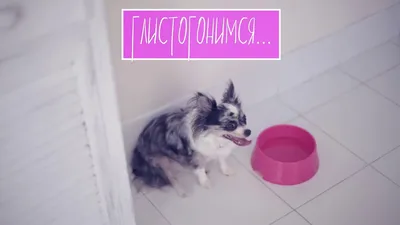 Спиноне и дети