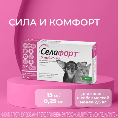 Антипаразитарная обработка домашних питомцев весной и летом