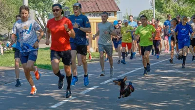 Улица Остров Юность в Иркутске — 2ГИС