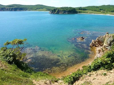 Аренда катеров и яхт во Владивостоке. Морские прогулки и отдых на островах.  Прокат и аренда катеров.