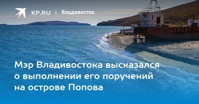 Стало известно, когда построят мост на остров Попова — Город В