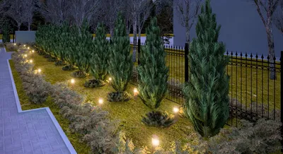 Отличные идеи освещения дачного участка! - Дачный дизайн | Front garden  design, Garden lighting design, Beautiful gardens