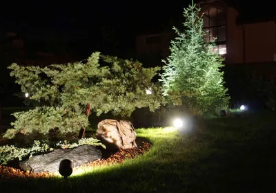 Освещение в саду/Lighting in the garden | Фото