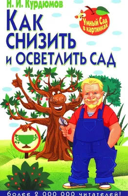 Что нужно знать, если решили осветлить брови? - Афиша Daily