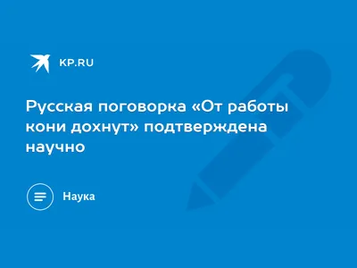 От работы дохнут кони, ну а я всего лишь…А кто ты?) | Пикабу