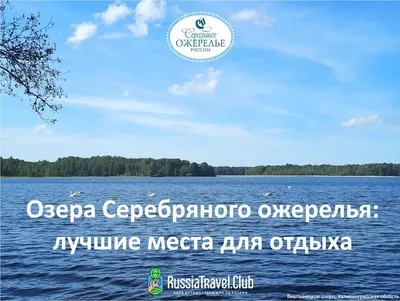 красивые женские ноги на пляже в чистой морской воде удивительный морской  пейзаж отдых на берегу моря яркий солнечный день концепция летних каникул  страсть к путешествиям концепция летних каникул Фото Фон И картинка