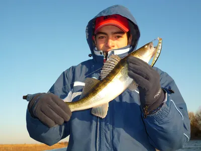 Рыбалка в Астрахани на рыболовной турбазе \"Рыбное место\" 🎣