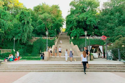 Дома из сруба для баз отдыха в Таганроге - Стройгрупп