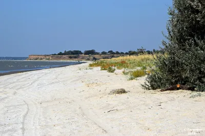 Приморский парк в Таганроге – прогулки, кафе и пляж