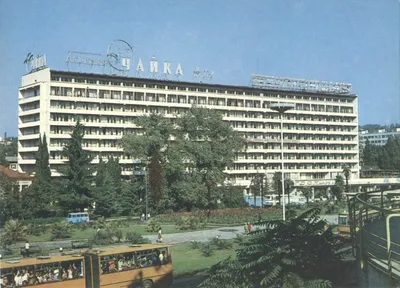 Полет чайки, отель, Виноградная, 33/3, Сочи — 2ГИС