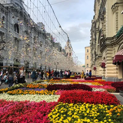 ОТЕЛЬ МАТРЕШКА МОСКВА