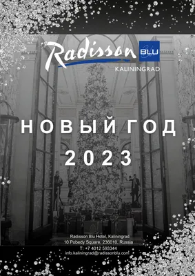 Radisson в Калининграде - об отеле Рэдиссон Блю с официального сайта