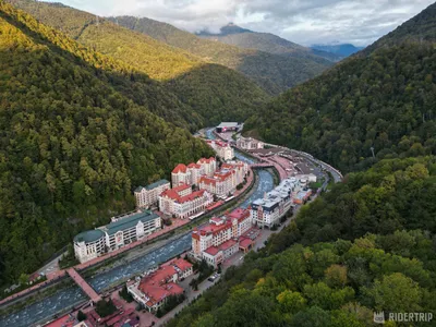 Golden Tulip Rosa Khutor Красная Поляна. Голден Тюлип Роза Хутор Сочи