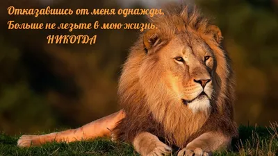 Статусы со смыслом added a new photo. - Статусы со смыслом