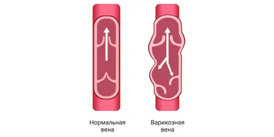 Откуда мем: как появились смешные мемы и что они значат