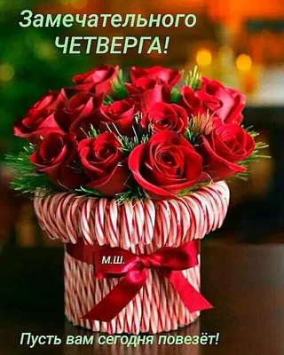 ПРЕКРАСНОГО ЧЕТВЕРГА! 2 МАРТА. #сдобрымутром #доброе #доброеутро #добр... |  TikTok