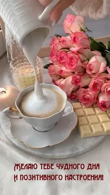 Доброе утро! Хорошего дня!☕🍁☕🍁☕🍁☕🥰😘 | TikTok