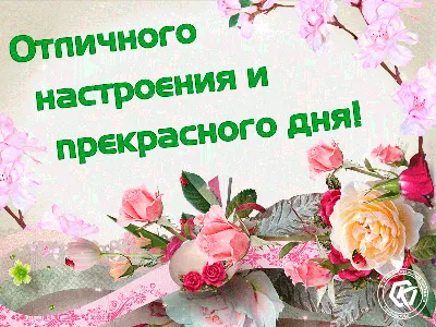 Картинки \"Хорошего дня и прекрасного настроения!\" (256 шт.)