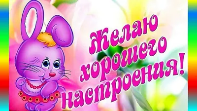 Доброе утро! Хорошего дня и отличного настроения!!! - Лента новостей ЛНР