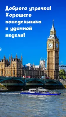 ДОБРОЕ УТРО ПРЕКРАСНОГО НАСТРОЕНИЯ ОТЛИЧНОГО ПОНЕДЕЛЬНИКА #доброеутро ... |  TikTok