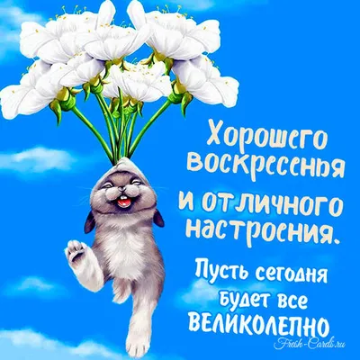 Открытка удачного воскресенья - GreetCard.ru