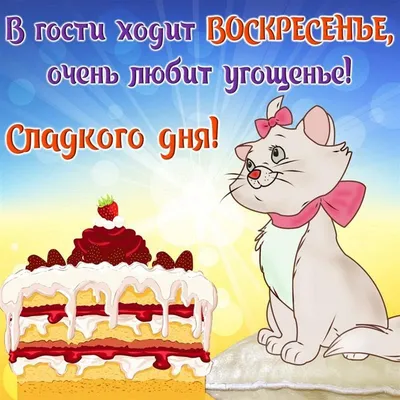 Доброго, отличного, яркого воскресного дня 💕