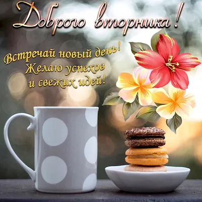 🌹Удачного Вторника! С добрым утром! 29.11.2022🌹☕🌹💖