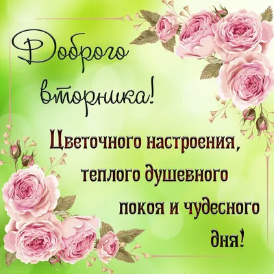 Доброго вторника, друзья!... | пожелания, Новости Казахстана - свежие  новости РК КЗ на сегодня | Bestnews.kz