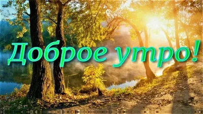 Картинка хорошей пятницы: К нам снова Пятница приходит, Что с нетерпением  так ждем, И каждый что-то в ней находит, Д… | Картинки, Открытки,  Поздравительные открытки