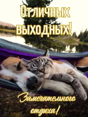 Открытки - Отличных выходных! | Facebook