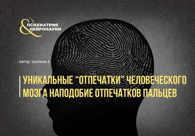 Выпускник колледжа использовал ИИ, чтобы опровергнуть мнение о том, что все отпечатки  пальцев уникальны | Пикабу