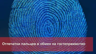 Уникальные “отпечатки” человеческого мозга наподобие отпечатков пальцев -  PsyAndNeuro.ru