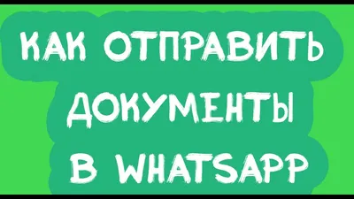 WhatsApp передумал по поводу «видеокружочков». Что произошло | РБК Life