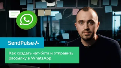 Как отправить сообщения в WhatsApp клиентам не из списка контактов | Albato