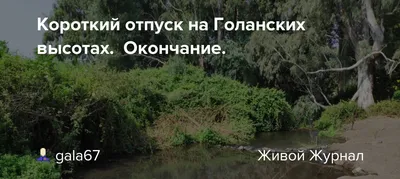 Год заканчивается, а дни отпуска остались: можно ли их перенести или  получить деньги / Новости / КТВ-ЛУЧ