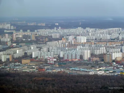 Район Отрадное в Москве / Афиша и новости программы «Мой район»