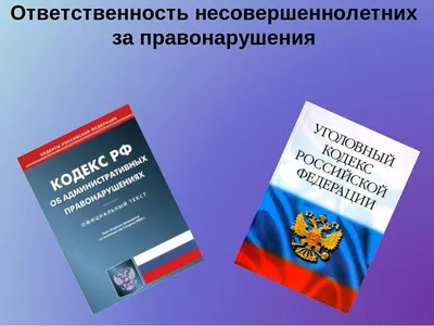 Юридическая ответственность: ее виды, признаки и функции