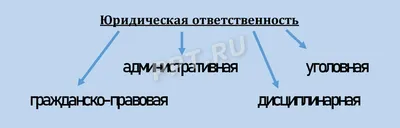 Как будет «ответственность» на английском: liability или responsibility? —  Блог Lawtran